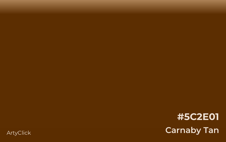Carnaby Tan #5C2E01