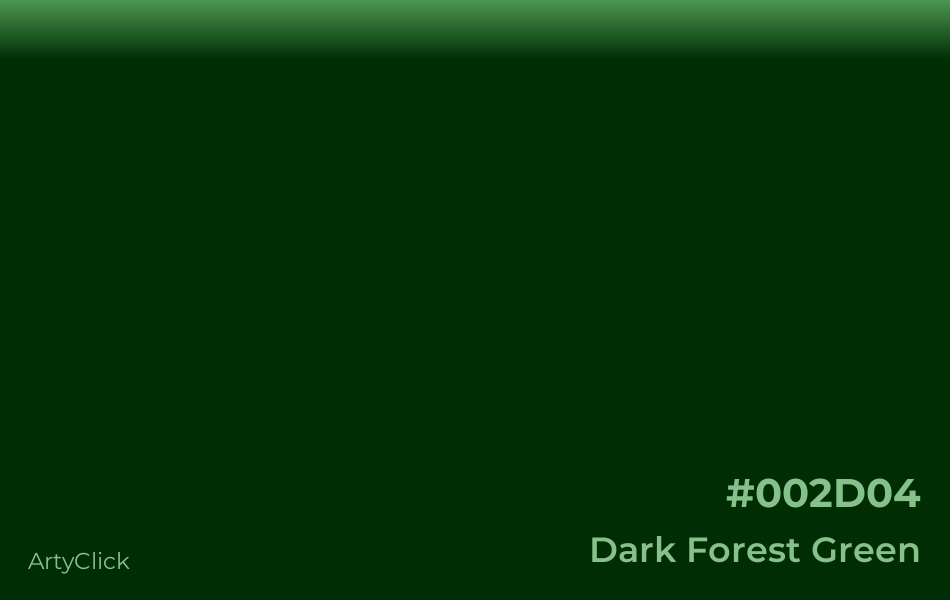Dark Forest Green Color | ArtyClick