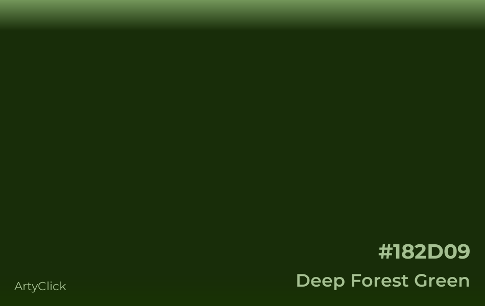 Deep Forest Green Color | ArtyClick