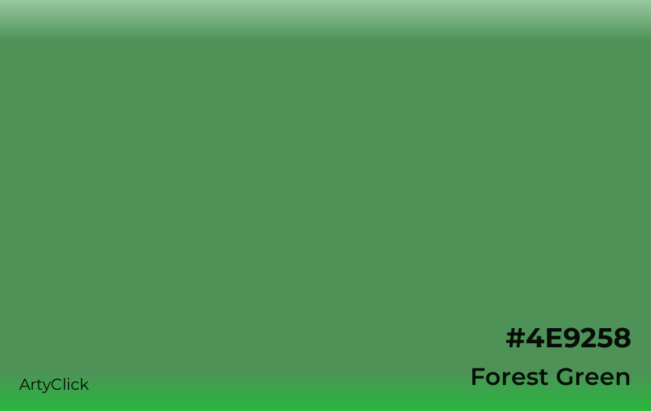 Forest Green Color | ArtyClick