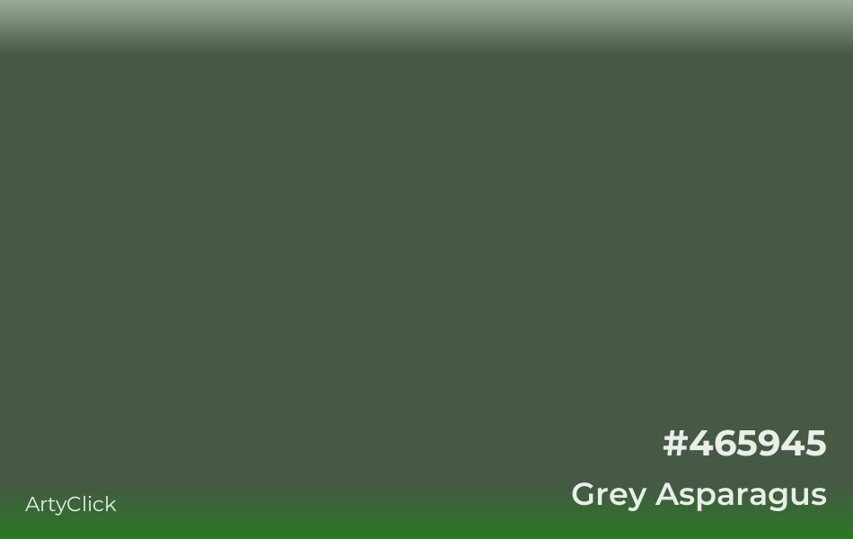 Grey Asparagus #465945