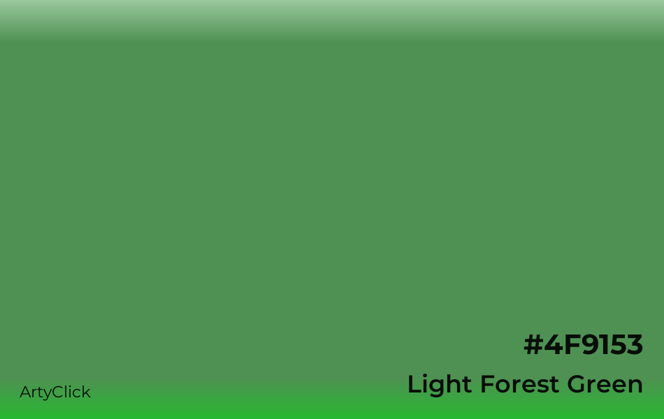 Light Forest Green Color | ArtyClick