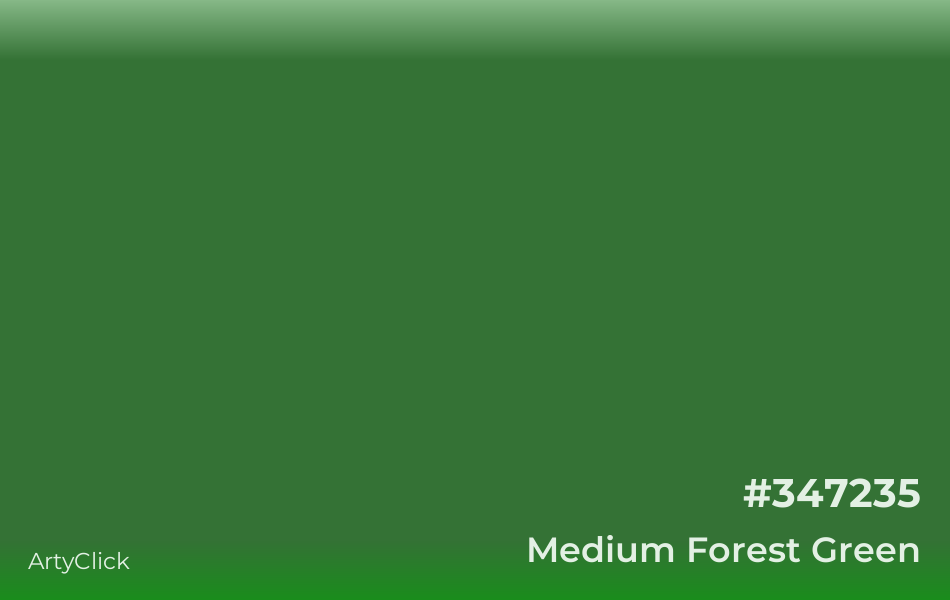 Medium Forest Green Color | ArtyClick