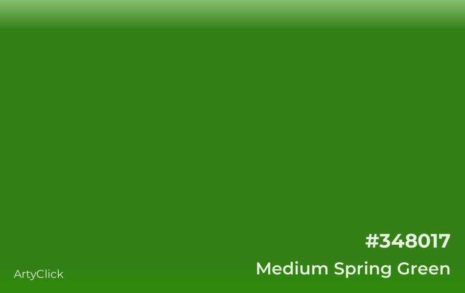 Medium Spring Green Color | ArtyClick